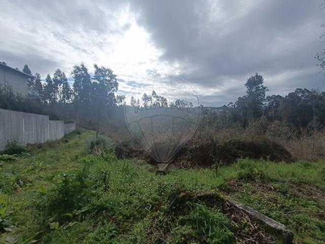 Terreno venda em Oliveira de Azeméis, Santiago de Riba-Ul, Ul, Macinhata da Seixa e Madail, Oliveira de Azeméis