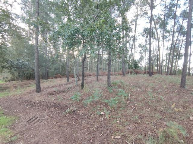 Terreno venda em Oliveira De Azeméis, Aveiro