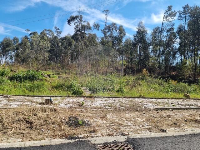 Terreno venda em Oliveira De Azeméis, Aveiro