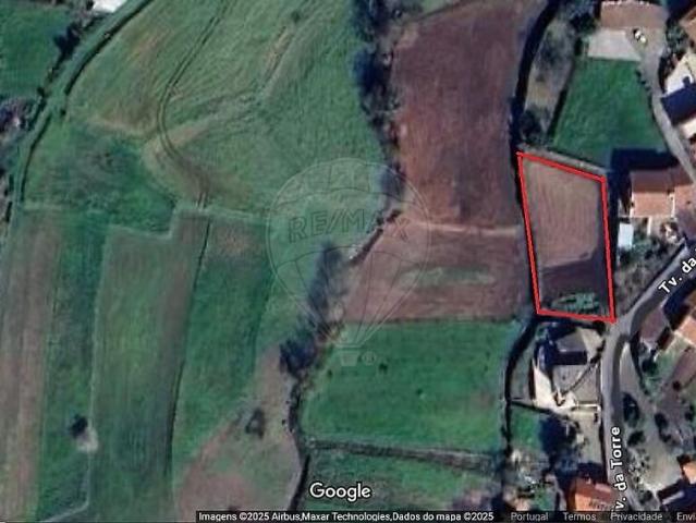 Terreno venda em Ameixieira, Oliveira De Azeméis