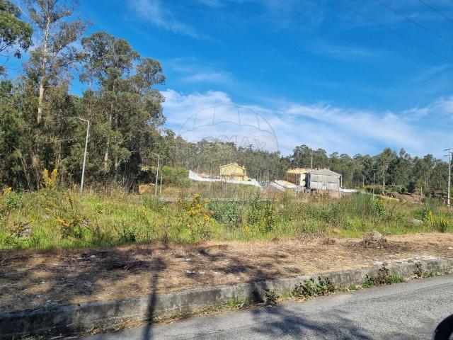 Terreno venda em Senhora da Ribeira, Oliveira De Azeméis