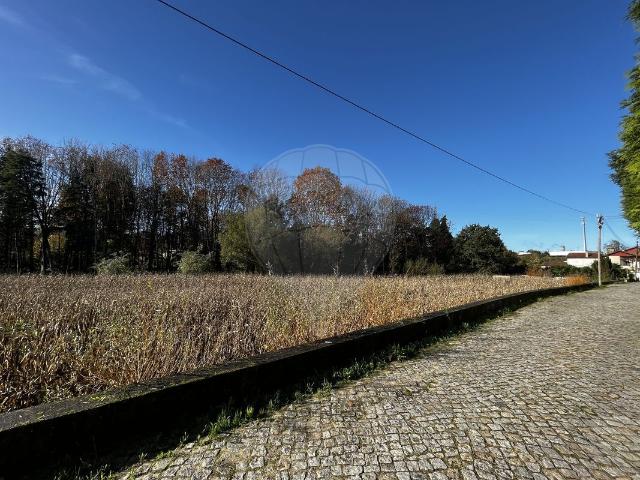 Terreno venda em Faria de Baixo, Oliveira De Azeméis