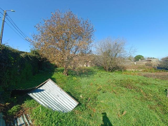 Terreno venda em Oliveira De Azeméis, Aveiro
