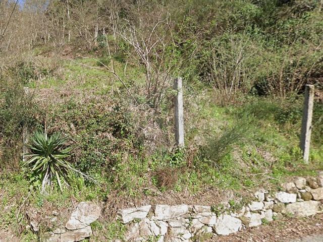 Terreno venda em Oliveira de Azeméis, Santiago de Riba-Ul, Ul, Macinhata da Seixa e Madail, Oliveira de Azeméis