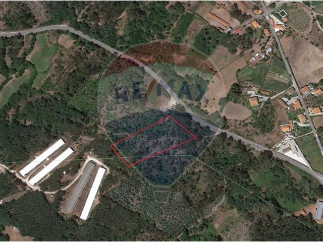 Terreno venda em Oliveira De Frades, Viseu