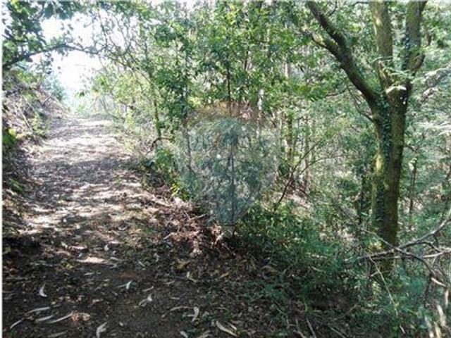 Terreno venda em Benfeitas, Oliveira De Frades