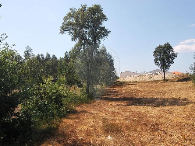 Terreno venda em Oliveira de Frades, Souto de Lafões e Sejães, Oliveira de Frades