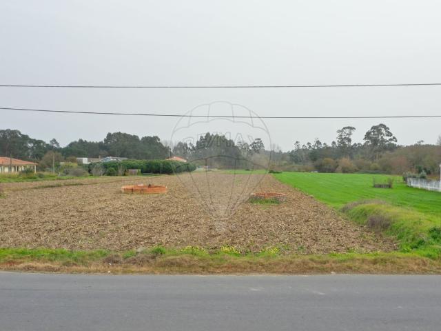 Terreno venda em Aveiro
