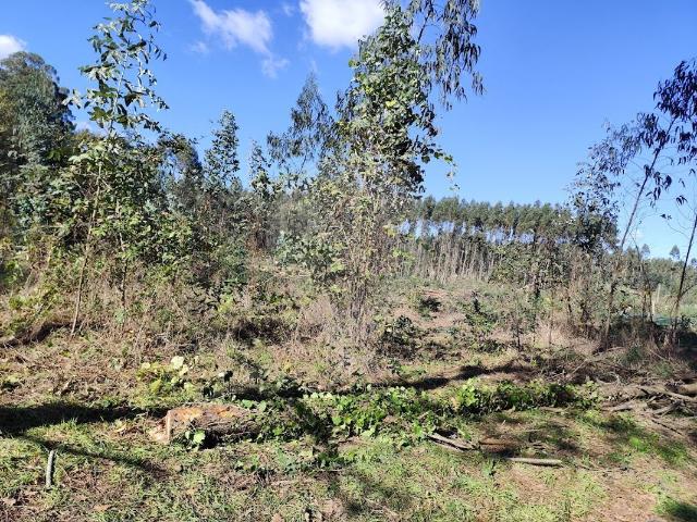 Terreno venda em Oliveira Do Bairro, Aveiro