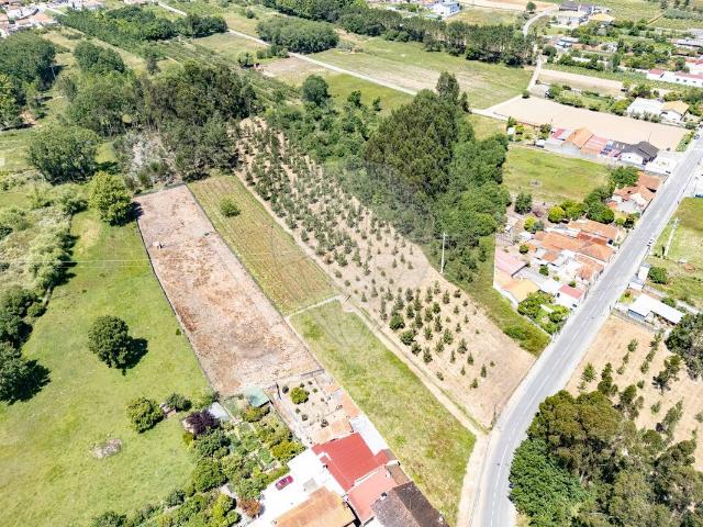 Terreno venda em Oliveira Do Bairro, Aveiro