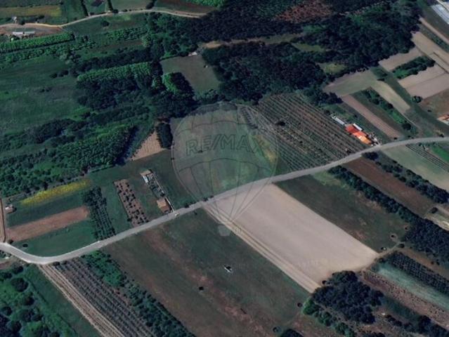 Terreno venda em Azurveira, Oliveira Do Bairro