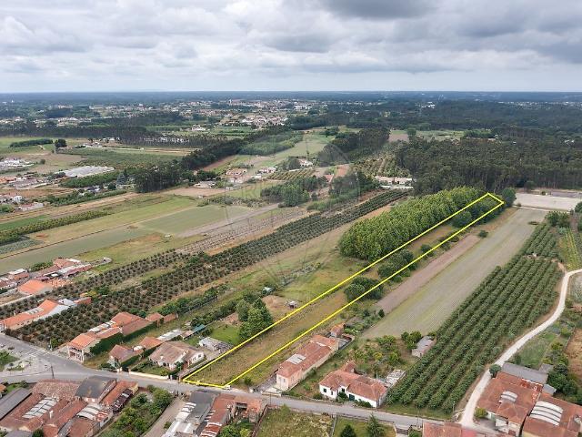 Terreno venda em Oliveira Do Bairro, Aveiro