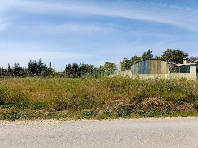 Terreno venda em Oliveira Do Bairro, Aveiro
