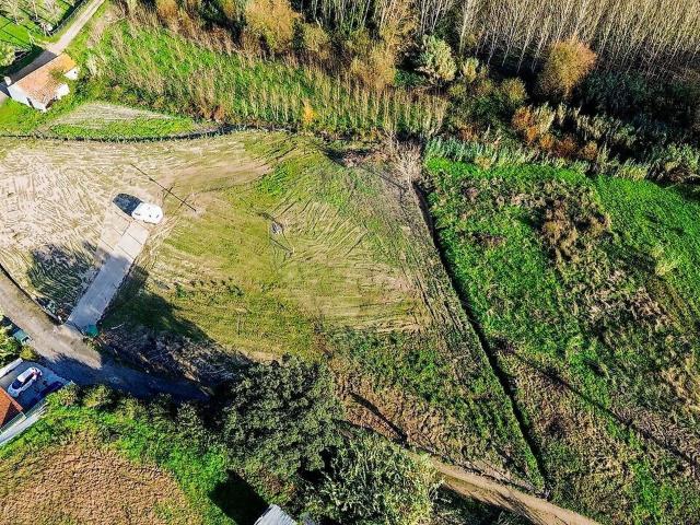 Terreno venda em Oliveira do Bairro
