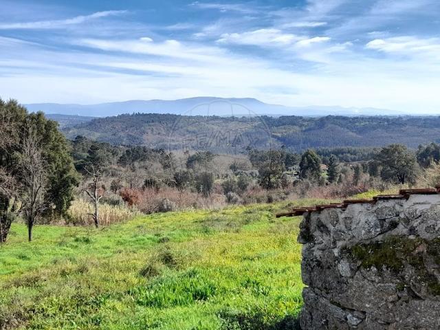 Terreno venda em Carregal Do Sal, Viseu
