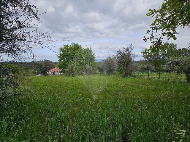 Terreno venda em Oliveira do Conde, Carregal do Sal