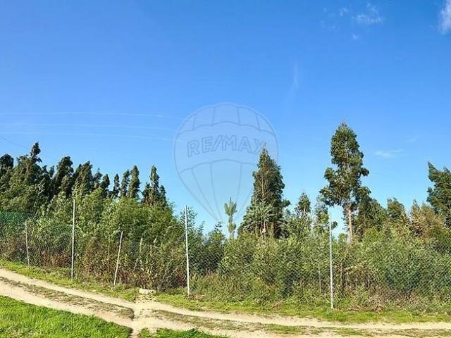 Terreno venda em Gavinhos de Cima, Coimbra