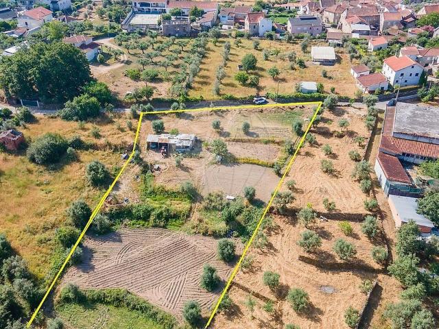 Terreno venda em Negrelos, Travanca de Lagos