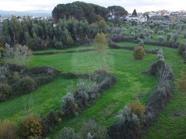 Quinta venda em Póvoa da Barbeira, Seixo Da Beira