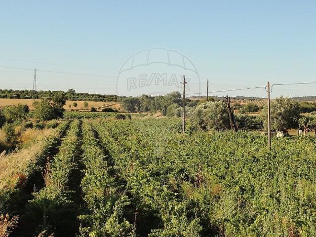 Terreno venda em Borba (Matriz), Borba