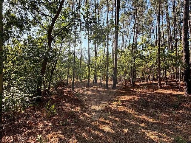Terreno venda em Ossela, Oliveira de Azeméis