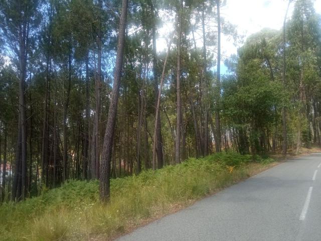 Terreno venda em Casais da Abadia, Ourém