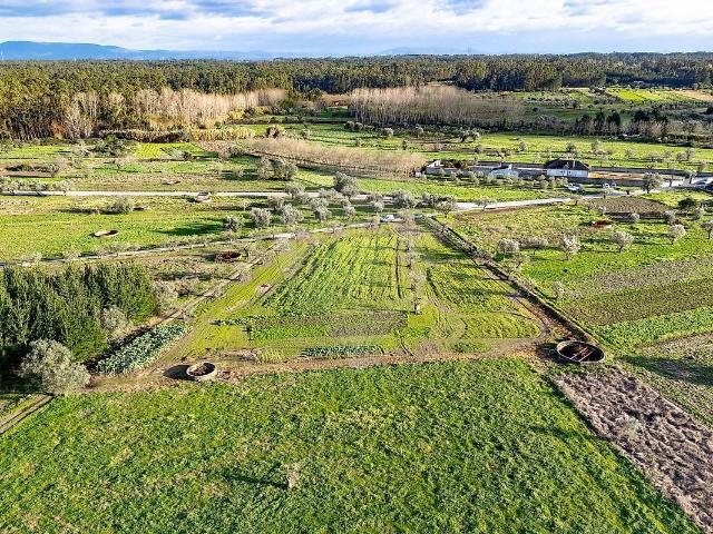 Terreno venda em Ourentã, Cantanhede