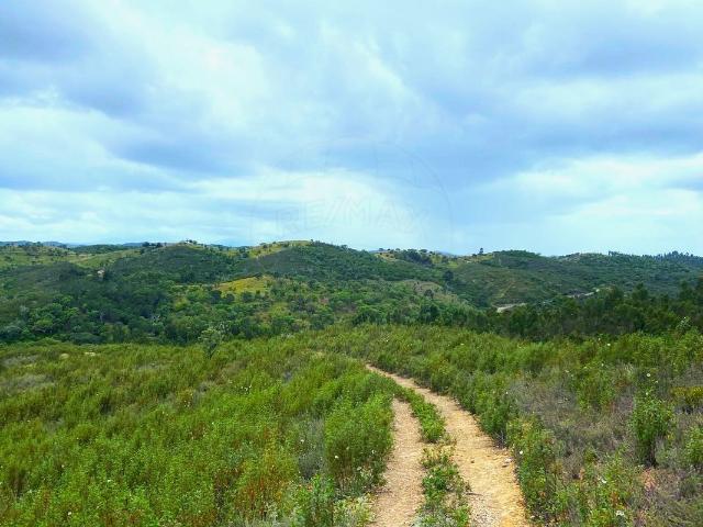 Terreno venda em Ourique, Beja