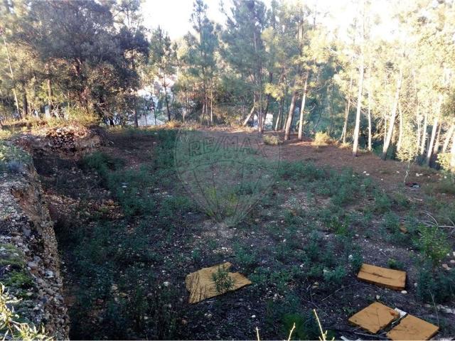 Terreno venda em Abrantes, Santarém