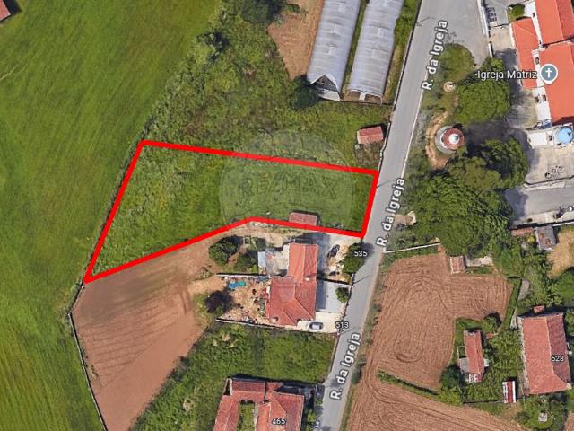 Terreno venda em Oliveira De Azeméis, Aveiro