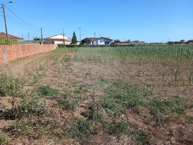 Terreno venda em Espartidouros, Ovar