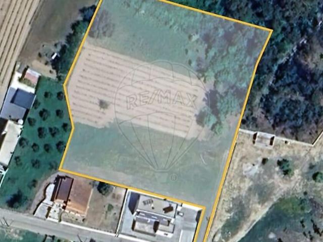 Terreno venda em Cagido, Santa Comba Dão