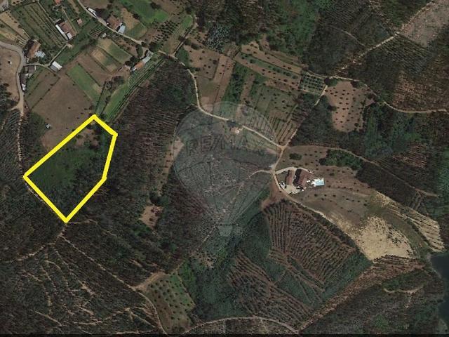 Terreno venda em Ovoa e Vimieiro, Santa Comba Dão