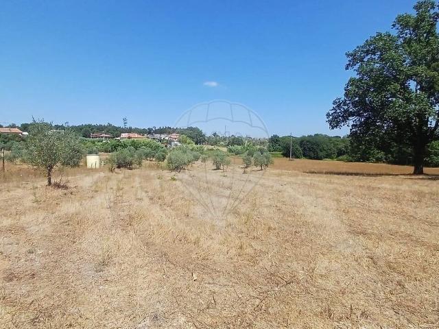 Terreno venda em Cagido, Santa Comba Dão