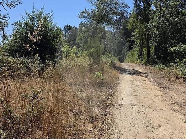 Terreno venda em Ovoa e Vimieiro, Santa Comba Dão
