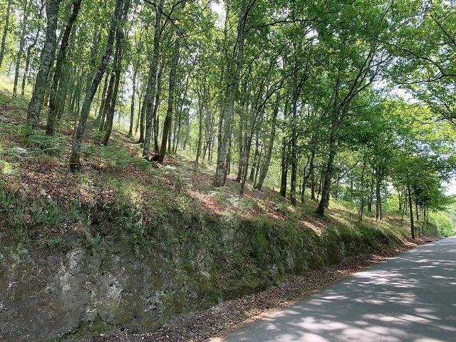 Terreno venda em Paçô, Arcos de Valdevez