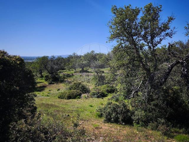 Terreno venda em Ferreiras, Albufeira