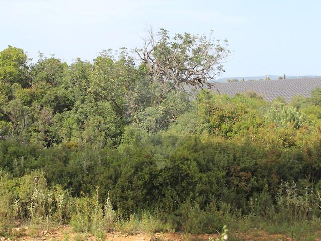 Terreno venda em Paderne, Albufeira