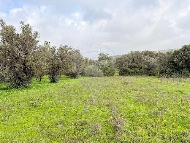 Terreno venda em Ferreiras, Albufeira