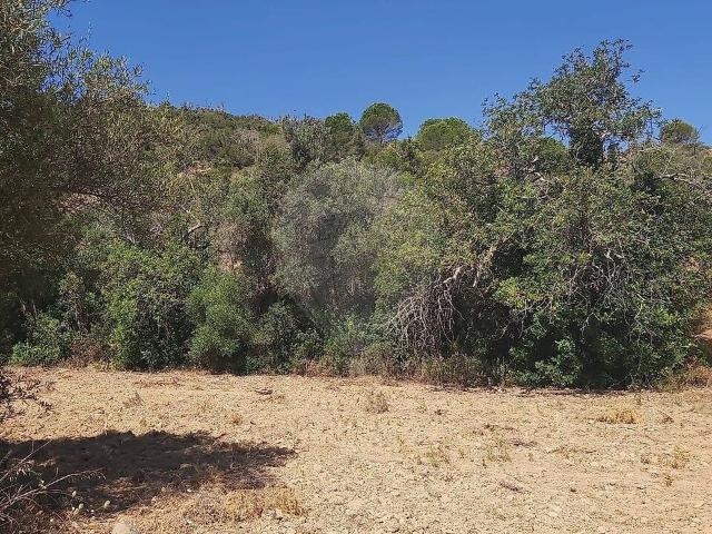 Terreno venda em Central Fotovoltaica Montechoro II, Albufeira