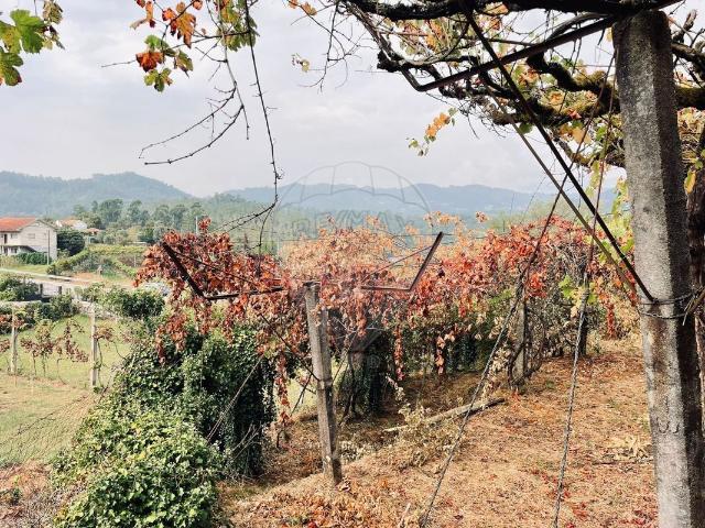 Terreno venda em Grovelas São João Evangelista, Viana Do Castelo
