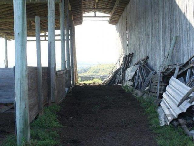 Terreno venda em Região Geográfica Imediata de Charqueadas - Triunfo - São Jerônimo, General Câmara