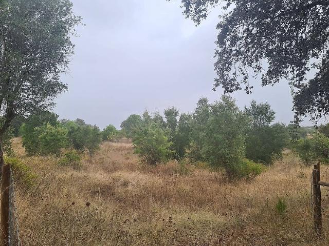 Terreno venda em Paialvo, Tomar