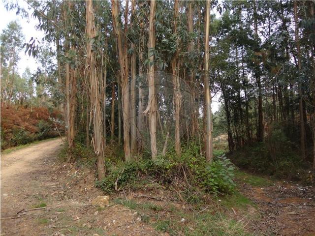 Terreno venda em Mortágua, Vale de Remígio, Cortegaça e Almaça, Mortágua