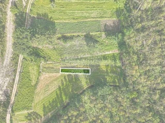 Terreno venda em Palme, Barcelos