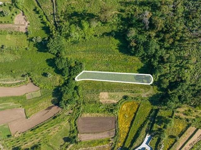 Terreno venda em Palme, Barcelos