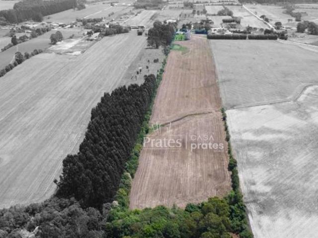 Terreno venda em Região Geográfica Imediata de Ponta Grossa, Palmeira