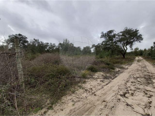 Terreno venda em Poceirão e Marateca, Palmela
