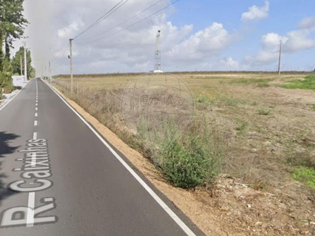 Terreno venda em Poceirão e Marateca, Palmela