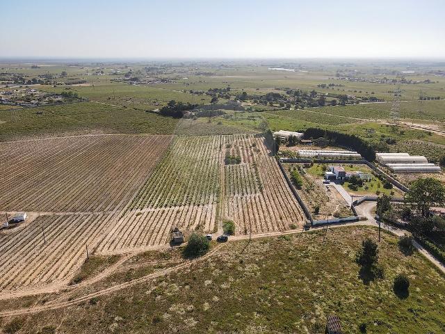 Terreno venda em Palmela